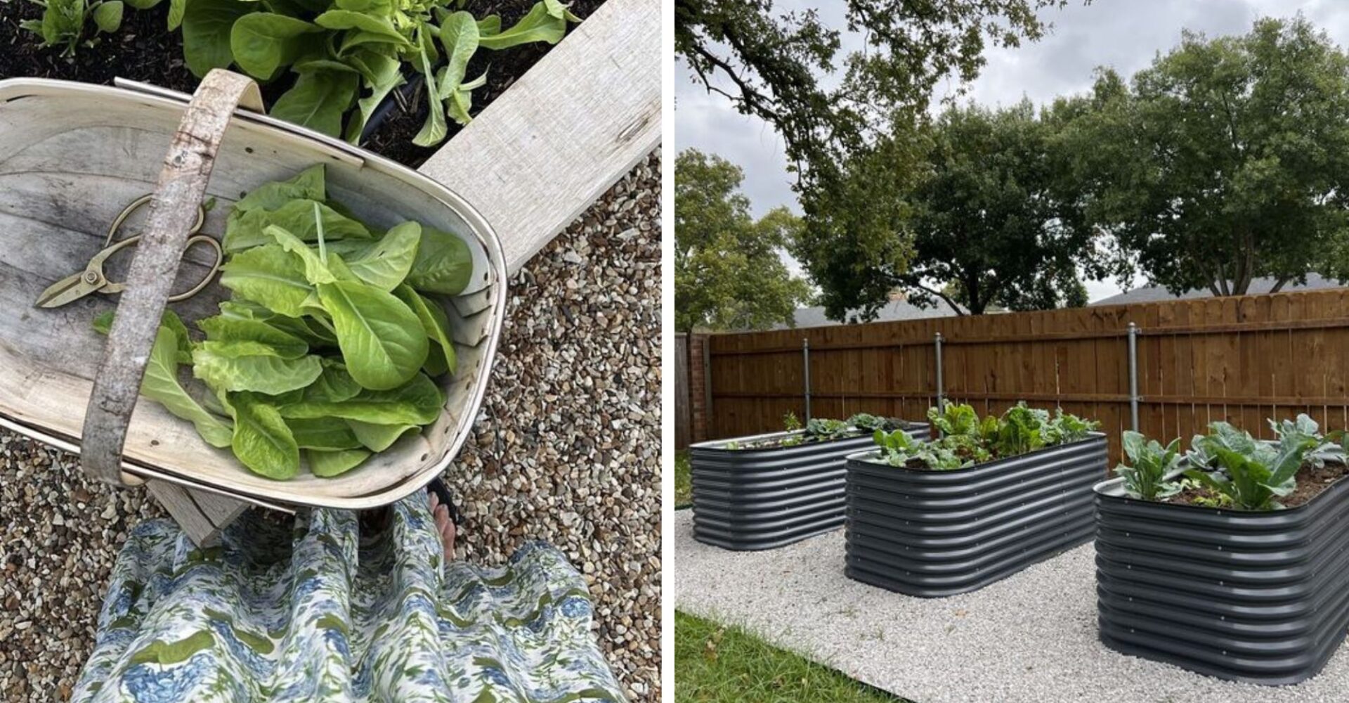 Create Your Own Sustainable Garden Oasis